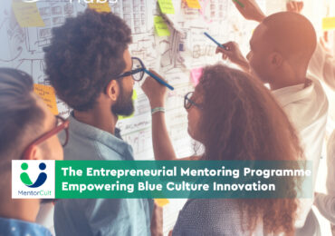 Άνοιξαν οι Δηλώσεις Συμμετοχής για το πρόγραμμα Επιχειρηματικής Καθοδήγησης MentorCult του ευρωπαϊκού έργου BCThubs!
