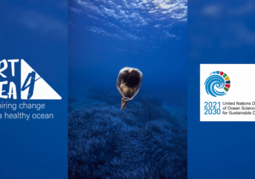 Το Art4Sea αναγνωρίζεται επίσημα ως Δραστηριότητα της Δεκαετίας των Ωκεανών της UNESCO!