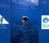 Το Art4Sea αναγνωρίζεται επίσημα ως Δραστηριότητα της Δεκαετίας των Ωκεανών της UNESCO!