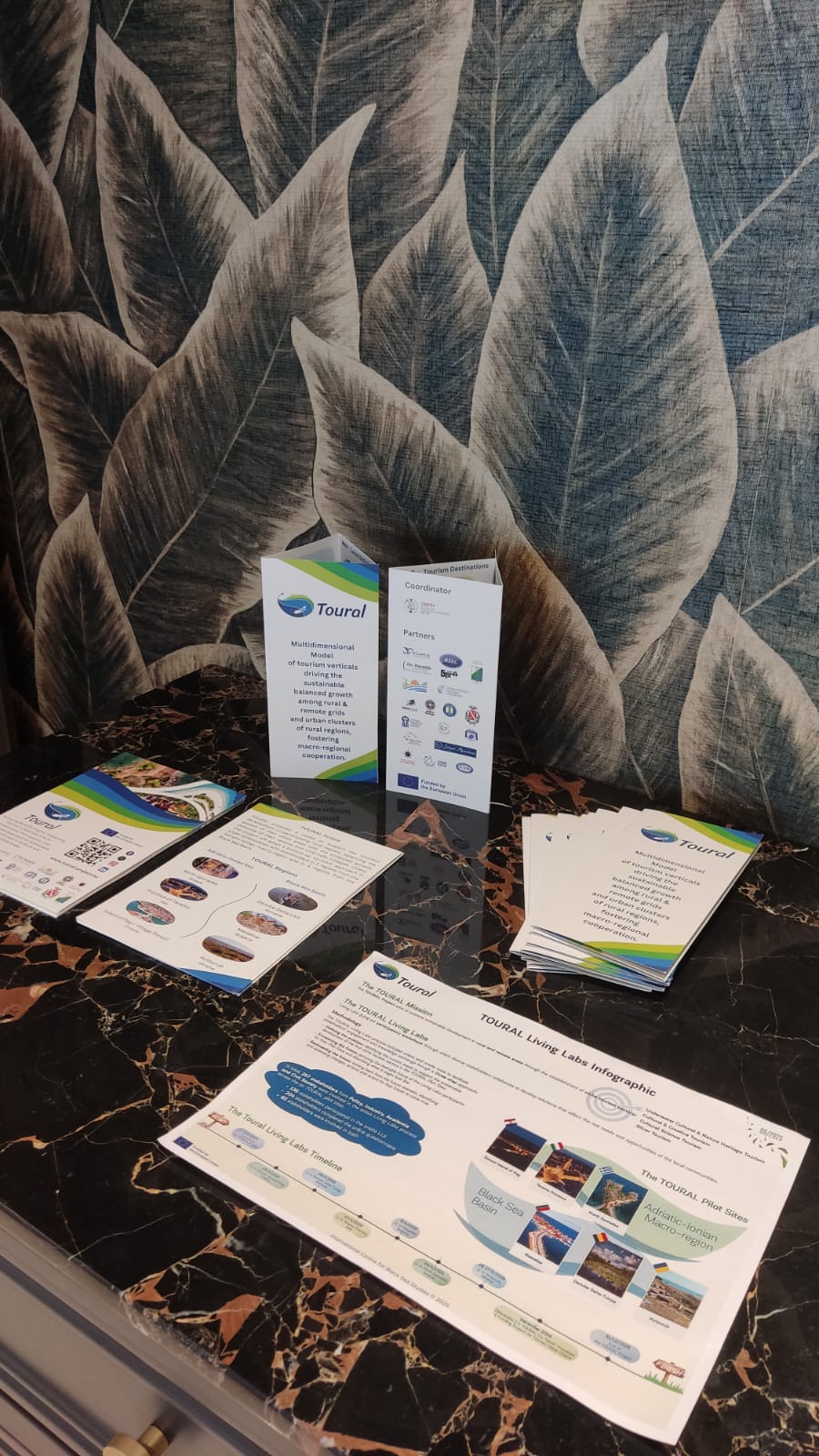 WhatsApp Image 2025-10-31 at 10.14.37 AM