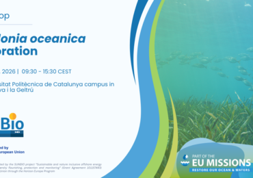 Η Ατλαντίς Συμβουλευτική συνδιοργανώνει workshop με θέμα “Posidonia oceanica Restoration” στο πλαίσιο του έργου SUNBIO